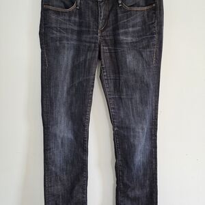 Earnestโ Sewn Men's Dark Blue Straight Jeans